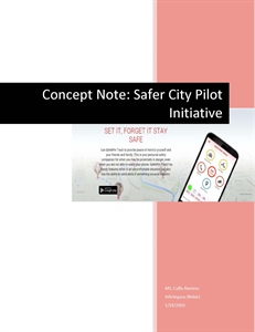 Safer City Pilot Project - Belize