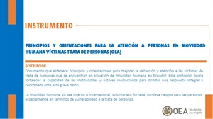 Principios orientadores asistencia VdT-OEA - Ecuador