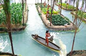 The chinampa mexica, antecedent of hydroponics