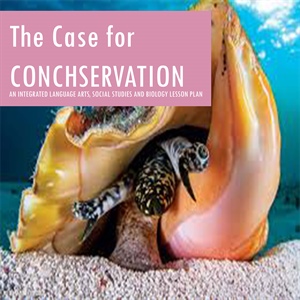 The Case for Conchservation