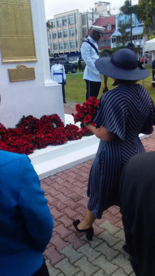 Representative Lay Wreath on Remembrance Day(November 10, 2019)