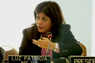 Comisionada Luz Patricia Mejía Guerrero, Presidenta de la Comisión Interamericana de Derechos Humanos