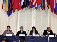 Regional Conference: “The Situation of People of African Descent in the Americas: Prospects and Challenges” (March 2011)