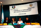 Guatemala, 28 y 29 Junio de 2001: Seminario sobre los derechos de la mujer indígena en el sistema interamericano