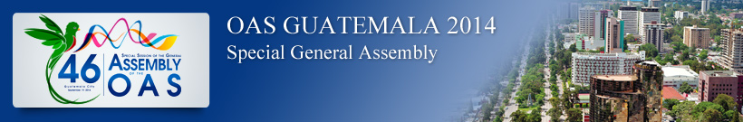 Forty-sixth Special Session of the OAS General Assembly - Guatemala 2014
